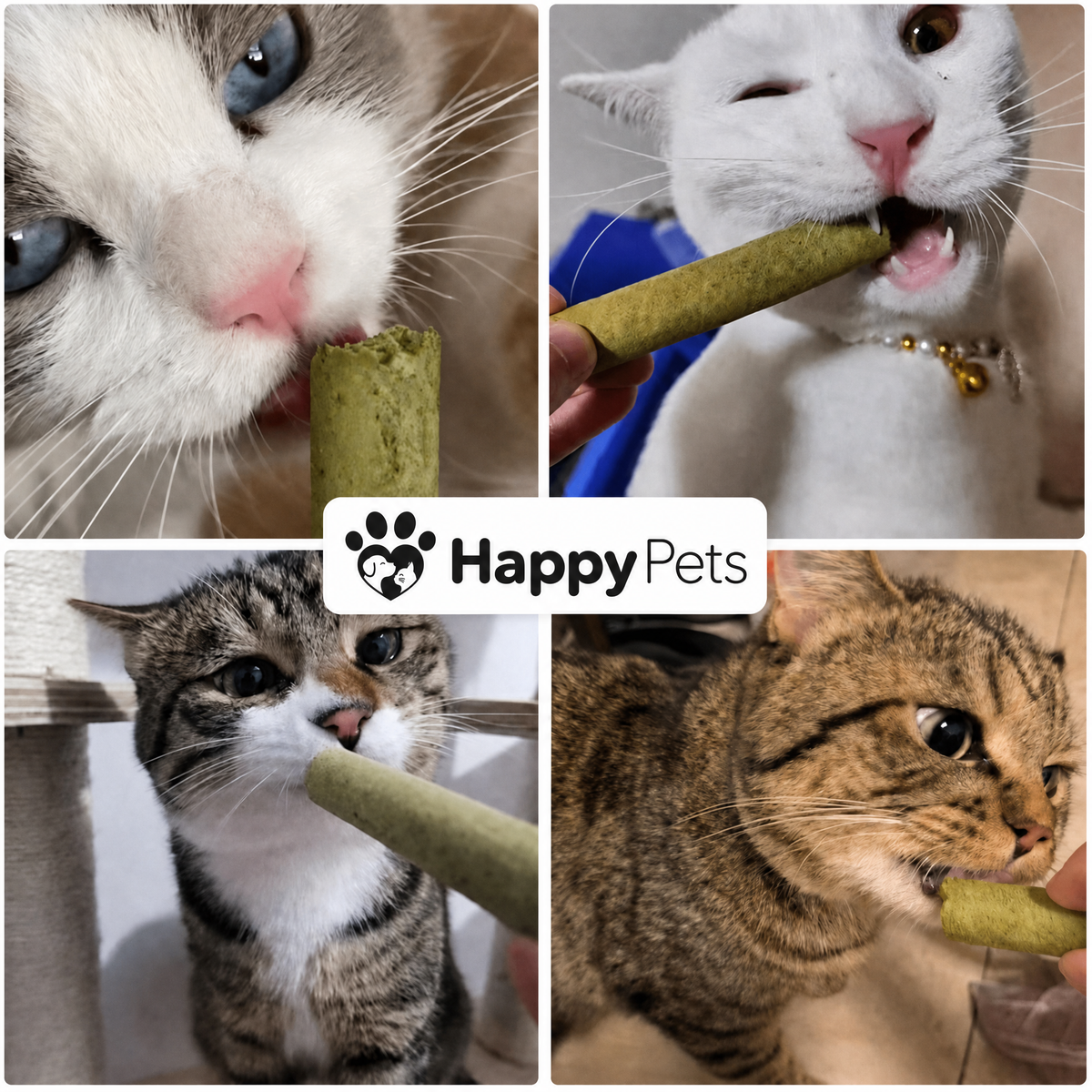 HappyPets Purutikut